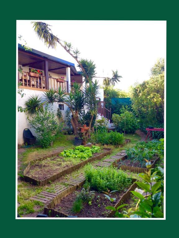 Apartamento Green *