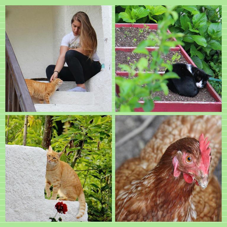 Apartamento Green