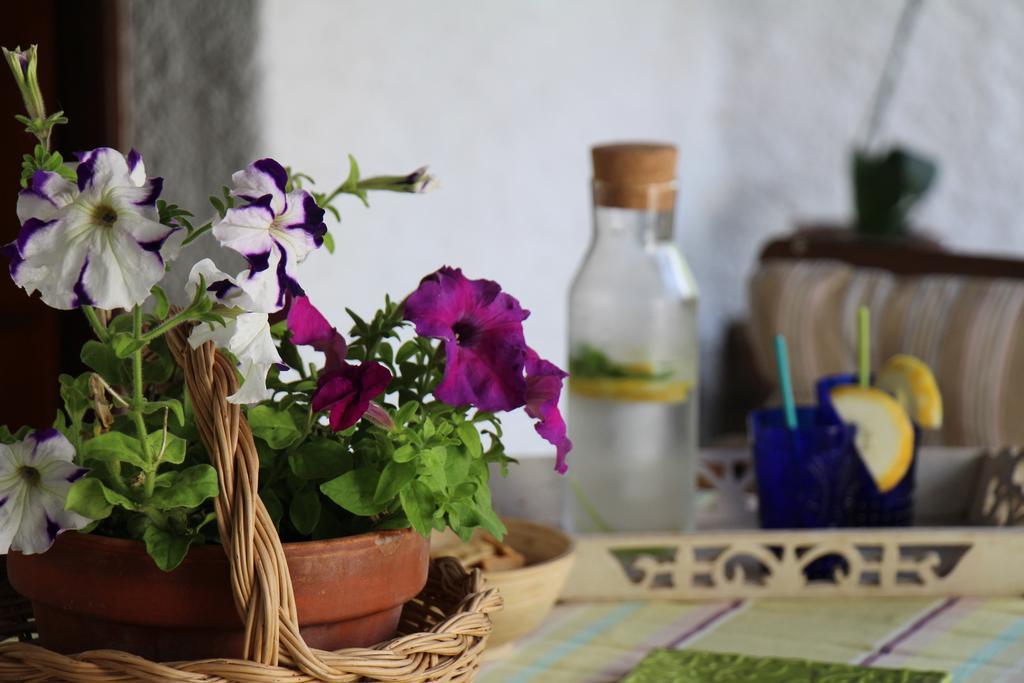 Apartamento Green *